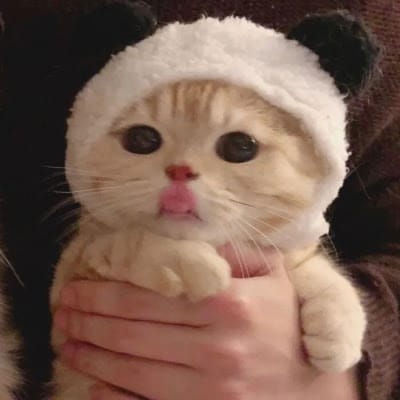 Rina Wijaya avatar